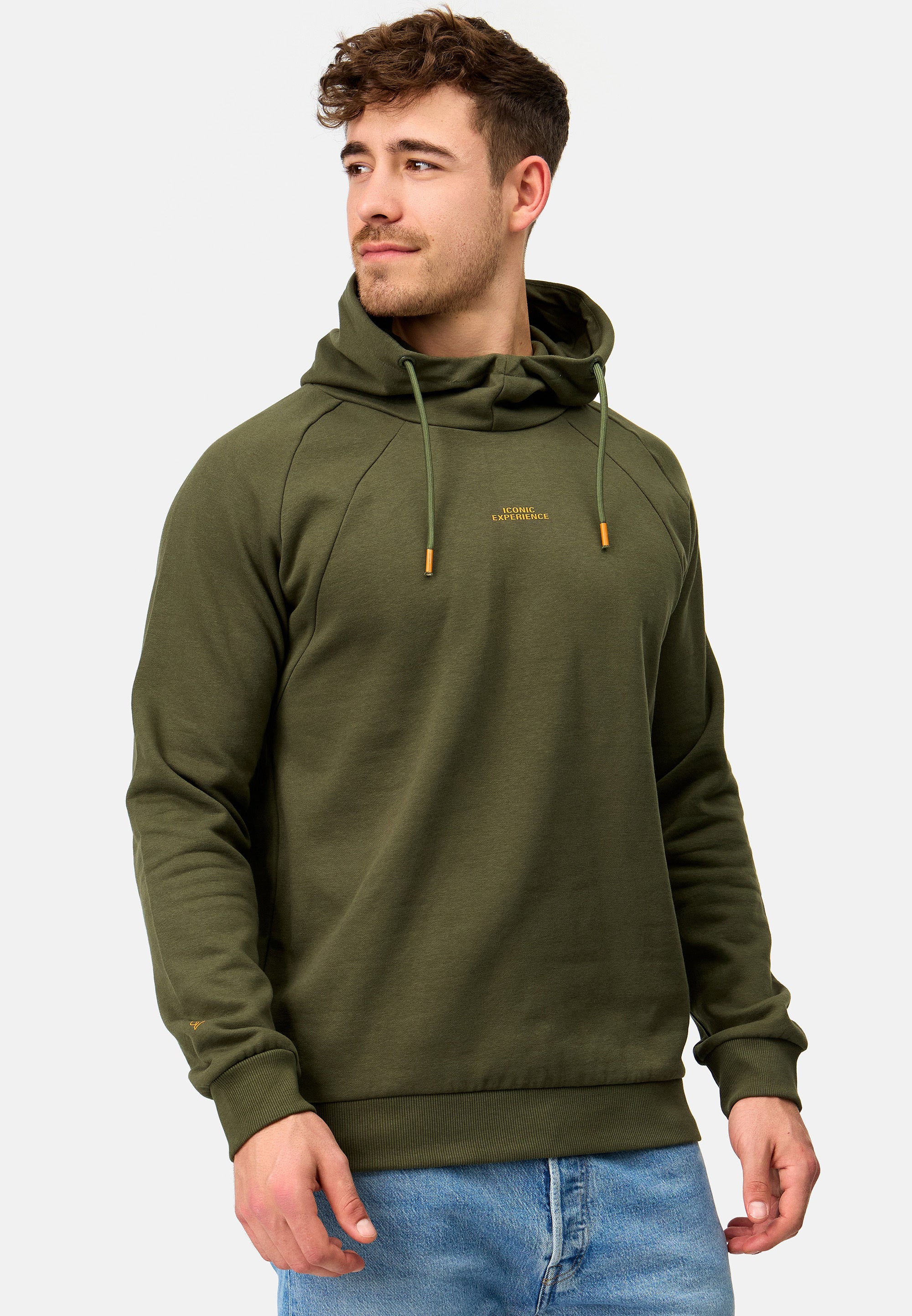 Kapuzenpullover INVir Produktbild